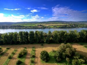 aerial photo of green trees and blue sky