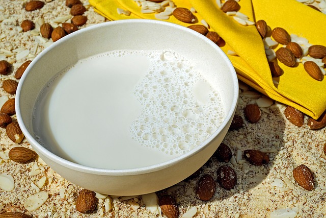 almond milk in white bowl on almond seeds