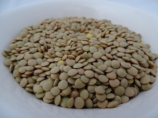 lentils on white plate