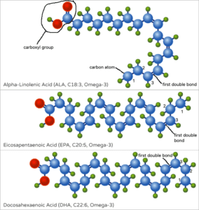 omega-3 fatty acid molecular structure, EPA, DHA