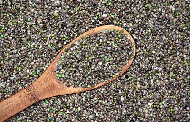 hemp seeds with wooden spoon