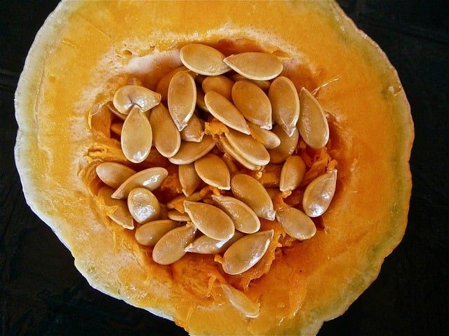 pumpkin seeds in pumpkin