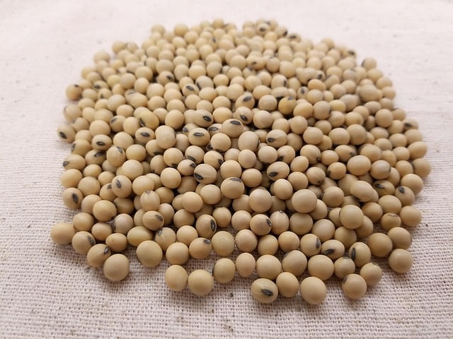 soybeans