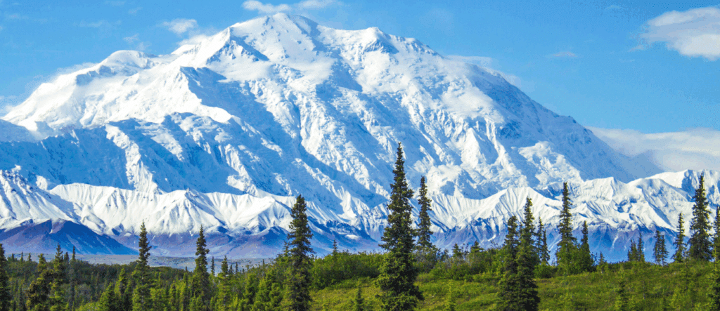 denali national park usa