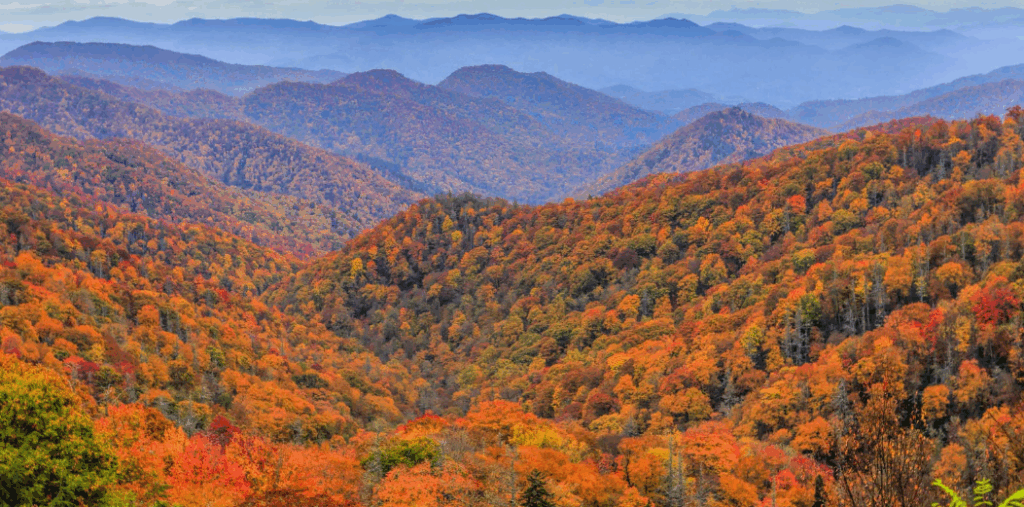 great smoky mountains park usa