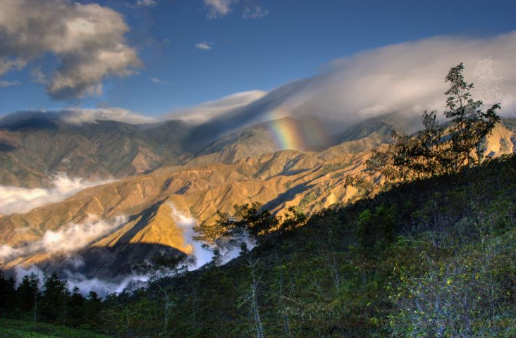 cerro de la muerte trail costa rica