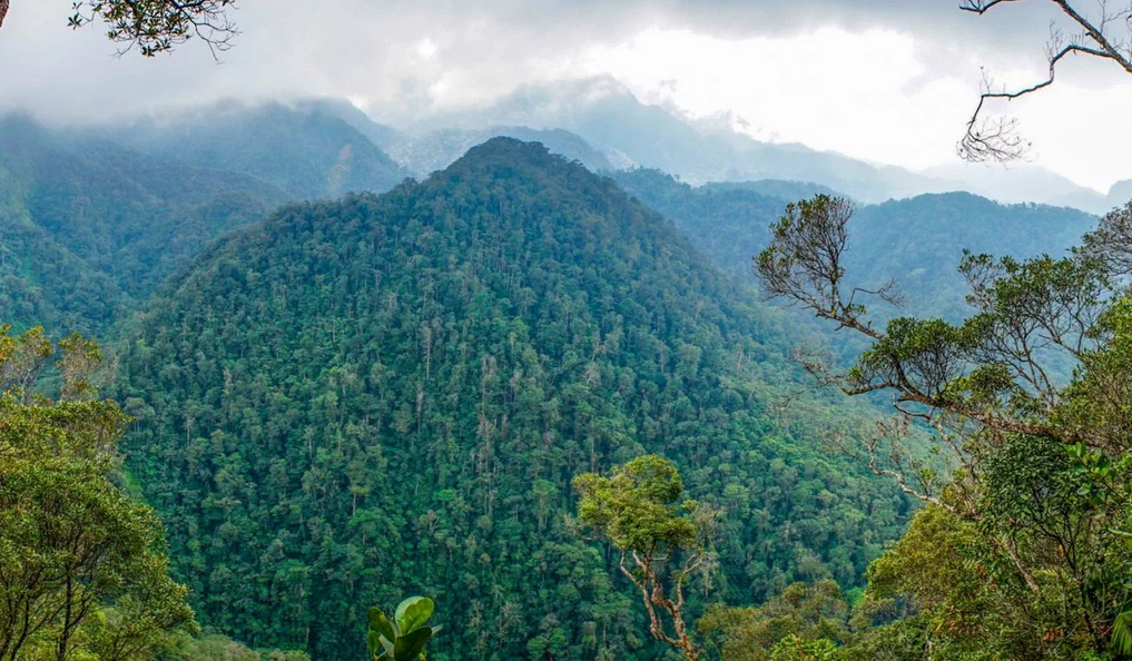pico bonito national park honduras